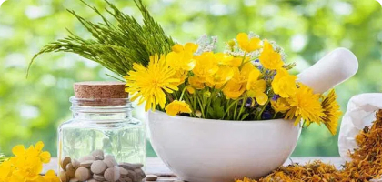 Active Pharmaceutical Ingredients